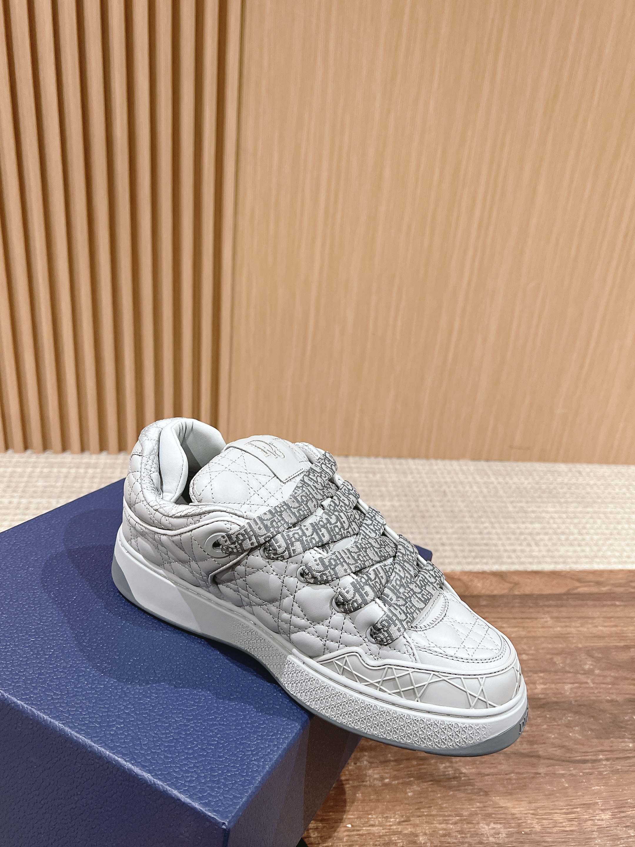 DIOR BY ERL B9S SKATER SNEAKER IN PALE GRAY CANNAGE LAMBSKIN